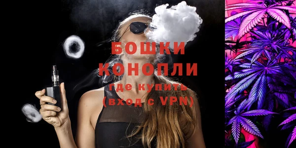 дурь Гусиноозёрск