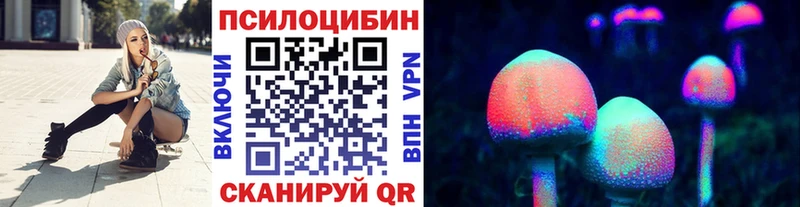Купить закладки  Собинка  Псилоцибиновые грибы Magic Shrooms 